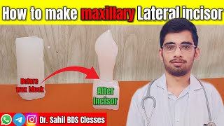 Maxillary Lateral Incisor Carving maxillary Lateral Incisor tooth carving bds DrsahilBDS [upl. by Pardoes]