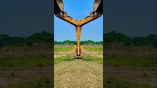 JCB TRENDING VIDEO 🔥😱🔥 jcb tractor jcbvideo [upl. by Aiela]