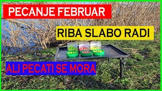 Pecanje Februarriba slabo radiali pecati se MORA [upl. by Harbour399]