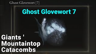 Ghost Glovewort 7 Location  Giants Mountaintop Catacombs  Elden Ring [upl. by Lede]