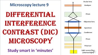 DIC microscope  working principle  Advantages disadvantages  Microscopy lecture 9 [upl. by Maice]