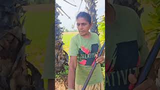 farming 🌀 கண்டிப்பா Twist இருக்கு 🤭just for fun 🤣 dailyvlog [upl. by Ecinue]