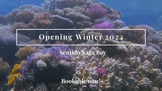 Sentido Naga Bay Resort Soft Opening 01122024  Soma Bay [upl. by Arratal]