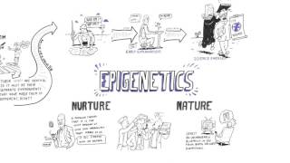 Epigenetics Nature vs nurture [upl. by Narah]