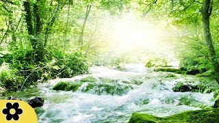 Healing Meditation Music Relaxing Music Calming Music Stress Relief Music Peaceful Music ✿2714C [upl. by Navac]