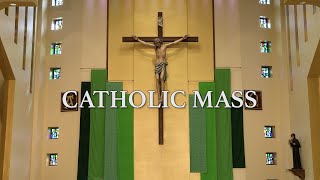 Roman Catholic Mass for June 16th 2024 Eleventh Sunday in Ordinary Time [upl. by Llerdna]