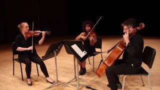 Pachelbels Canon in D String Trio [upl. by Trilby]