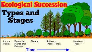 Ecological Succession  Primary and Secondary succession  Stages of Xerosere Hindi urdu [upl. by Niles376]