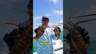 MaritimeExpeditions LOBSTER in the FLORIDA KEYS [upl. by Pomfrey]