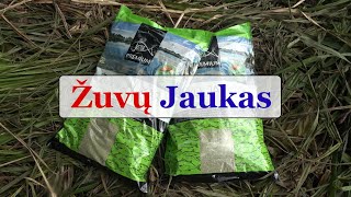 Žuvų Jaukas Eksperimentas  Gabrielius Ser [upl. by Lubet]