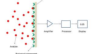 What are biosensors [upl. by Berns]