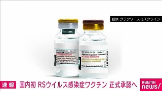 【速報】国内初 RSウイルス感染症のワクチンが正式承認へ 厚労省2023年8月28日 [upl. by Hilliary]