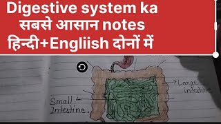 digestive system Hindi notes पाचन तंत्र main organ DMLT notes with laddu Gopal [upl. by Kall]