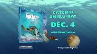 Finding Nemo  Available on Bluray Combo Pack December 4 [upl. by Oulman]