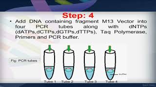 Sanger method of DNA sequencing step by step [upl. by Soirtemed]