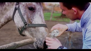 SOLEO  HEJ WINA LEJ  OFFICIAL VIDEO NOWOŚĆ [upl. by Draner]