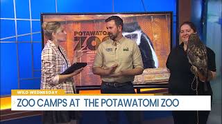 Zoo Camps At The Potawatomi Zoo  Wild Wednesday [upl. by Hobey]