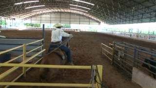 Rancho JS  Laço em Mula  A História de um Pionerismo [upl. by Eekram]