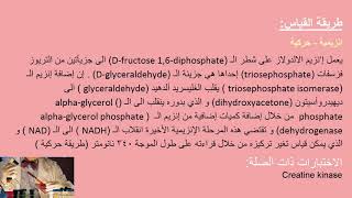 تحليل ألدولاز Aldolase Test [upl. by Shien]