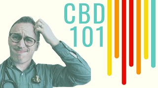 CBD Oil 101 Doctor Explains for ABSOLUTE beginners [upl. by Zebulon]