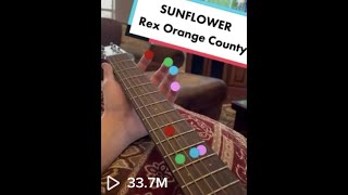 Sunflower  Rex Orange County Guitar Lesson  Tutorial [upl. by Odnalo545]