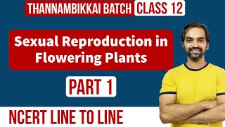 Sexual Reproduction in Flowering Plants  Part 1  NCERT Line to Line  Thannambikkai Batch [upl. by Leopold207]