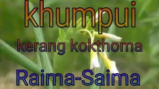 KhumpuiRaimaSaima kokborok old official full video song [upl. by Anh]