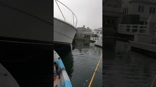 Kayak fishing Long Beach marina fishing fishingvideo kayakfishing k [upl. by Margalit863]