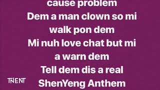 Shenseea  ShenYang Anthem lyrics [upl. by Lemhar345]