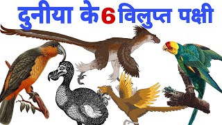 दुनिया के कुछ विलुप्त पक्षी  6 Extinct Birds of the World in Hindi [upl. by Ibocaj]