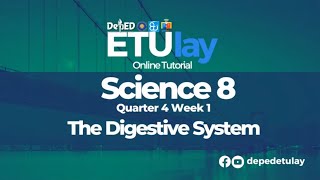 The Digestive System  Grade 8 Science Quarter 4 Week 1 [upl. by Betsey]