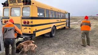 2023 South Dakota Pheasant Hunt [upl. by Ringler456]