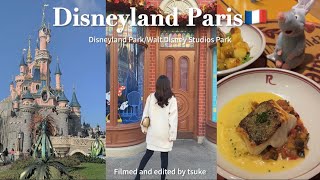 Disney vlog🪄パリディズニーで夢の時間を過ごす2日間🏰🇫🇷念願のレミーレストラン🍽️、感動のドローンナイトショー💫 [upl. by Daffie]