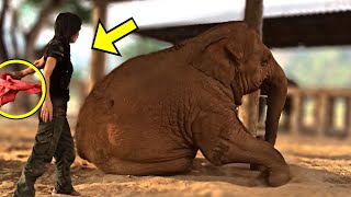 Woman Slaps This Elephant But His Reaction Shocked Everyone [upl. by Tupler]