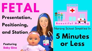 ✅ Fetal Positions Presentation amp Station ✅ Explained in 5 Minutes or Less [upl. by Parrott]