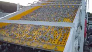 Hewitt Robins Inclined Vibrating Screen during commissioning stages [upl. by Lienhard]