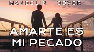 AMARTE ES MI PECADO  Ricardo Montaner  MANDOLIN COVER [upl. by Sirrad]