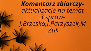 Komentarz zbiorczy IParzyszekJ Brzeska i M Żuk [upl. by Nilde183]