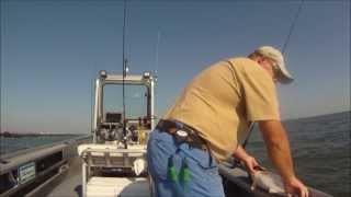 MAYPORT JETTY FISHING JACKSONVILLE After 4 days of rain [upl. by Analak804]