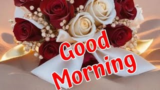 Ep70Good morningwishes with Beautiful imagesGoodmorningvideostatussubscribe smilingthulasi3686 [upl. by Naxela]