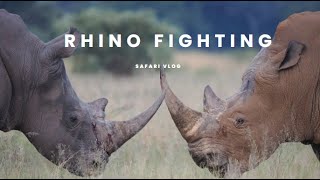 Rhino Fighting [upl. by Woothen]