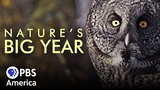 Natures Big Year FULL SPECIAL  PBS America [upl. by Smitty]