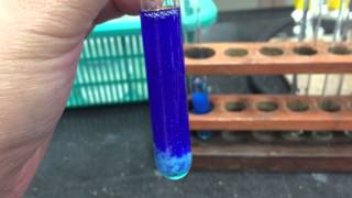 Cation Test CopperII Ions [upl. by Jehial445]