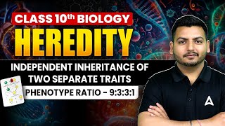 Mendels Law of Independent Inheritance  Half Yearly Express Series  Biology by Raghvendra Sir [upl. by Hofmann]