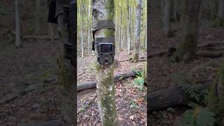 Technaxx Mini nature wild cam TX117 wildcamera wildanimals tx117 hunting [upl. by Beshore803]