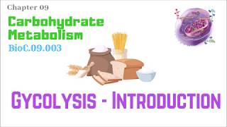 BioC09003Glycolysis 110 – Introduction  Dr Prashant Sharma [upl. by Akila]