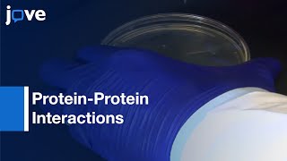 Probing HighDensity Functional Protein Microarrays ProteinProtein Interactions l Protocol Preview [upl. by Sander]