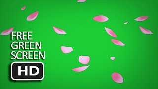 BEST Free Green Screen  Falling Sakura Cherry Blossom Leaves [upl. by Ahsenar]