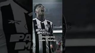 Igor Jesus jogando pelo botafogo confira quantos jogos gols e assistências ele tem futebol gols [upl. by Ridgley667]