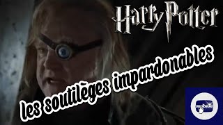 Doublage Harry Potter scène Les Sortilèges Impardonnables [upl. by Radmen272]